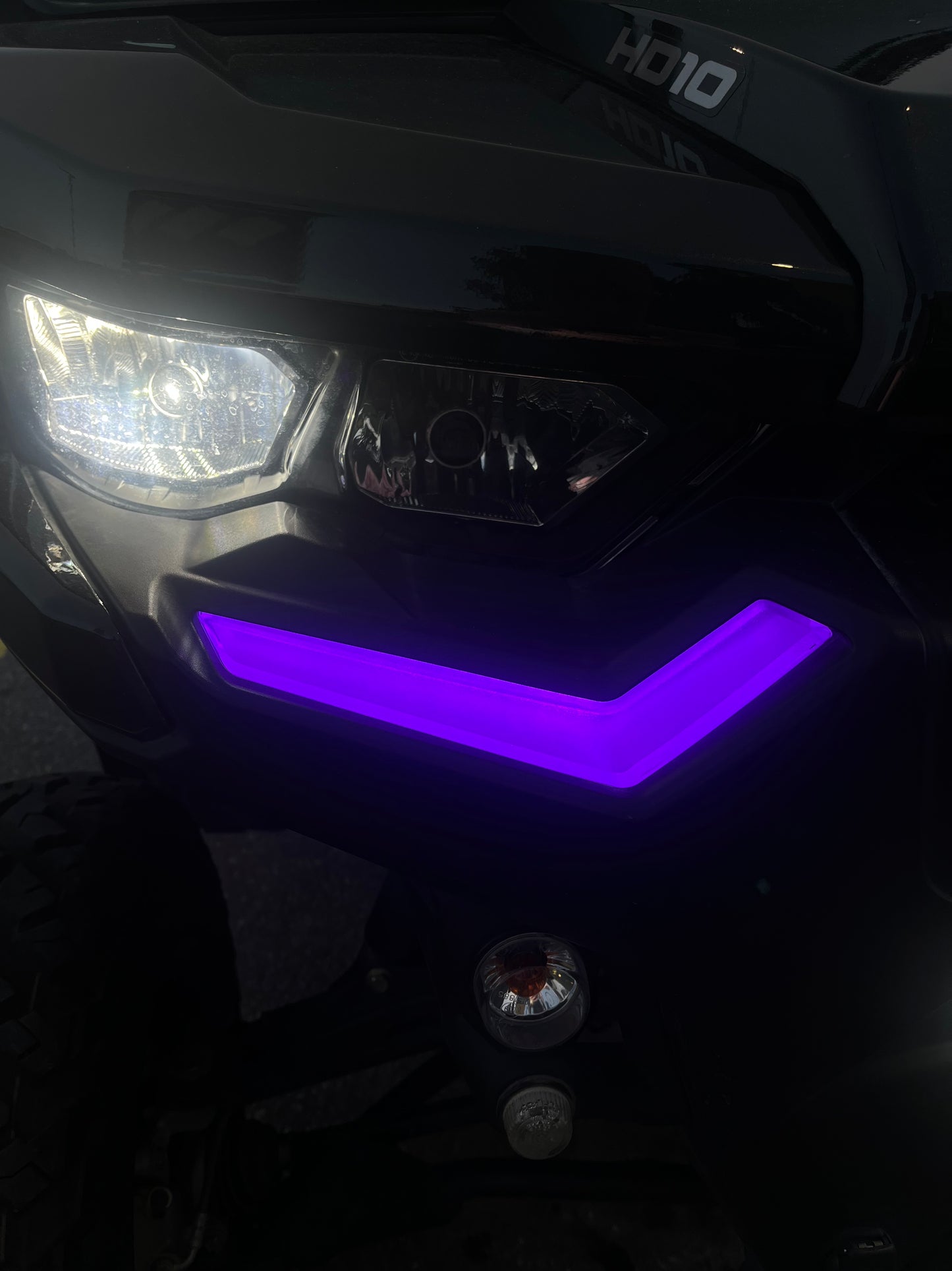BOXY TRAXTER BUNDLE