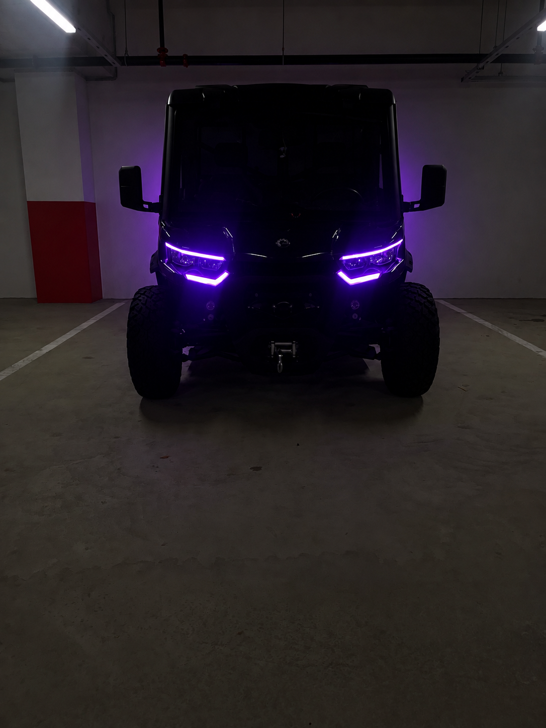 BOXY LINJE